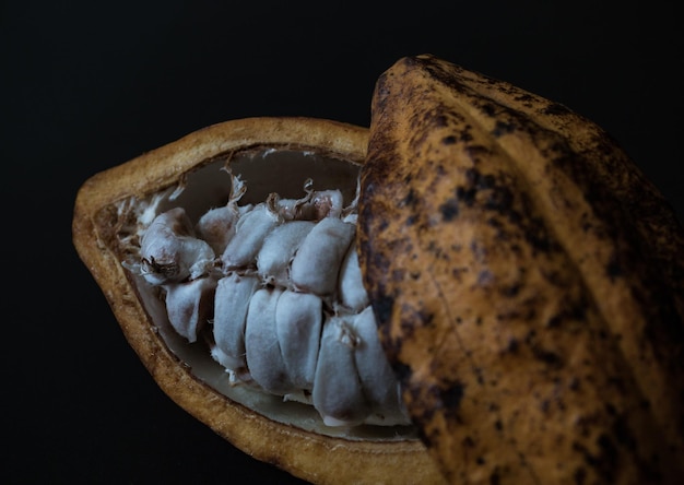 Primer plano de los alimentos