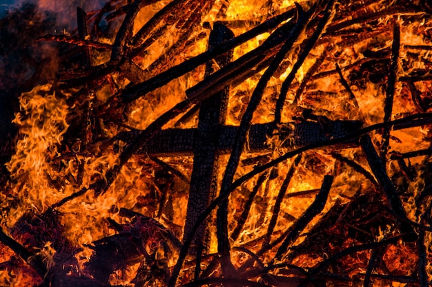 Foto primer plano de un árbol en llamas