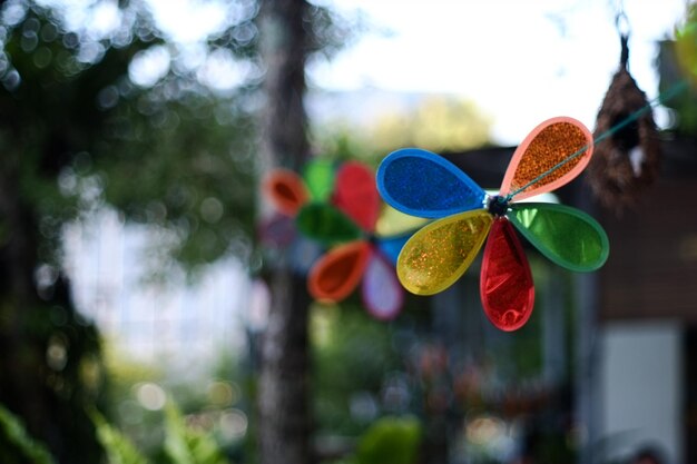 Foto primer plano de un árbol multicolor