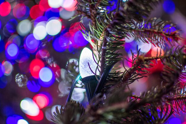 Primer plano del árbol de Navidad iluminado por la noche