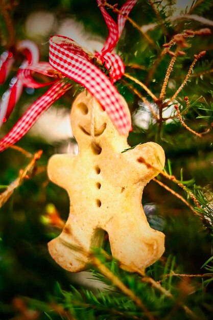 Foto primer plano del árbol de navidad