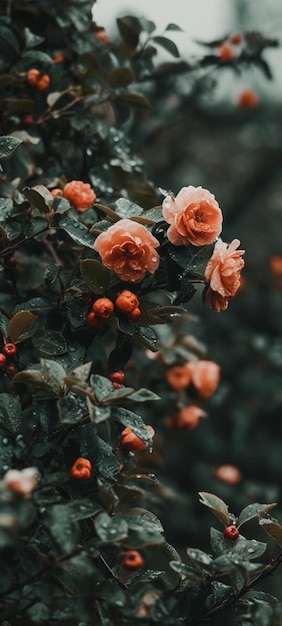 Un primer plano de un arbusto con flores rojas