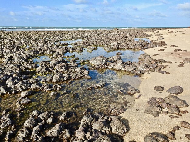 Foto primer plano de arena en la playa contra el cielo