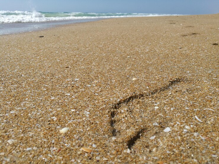 Foto primer plano de arena en la playa contra el cielo
