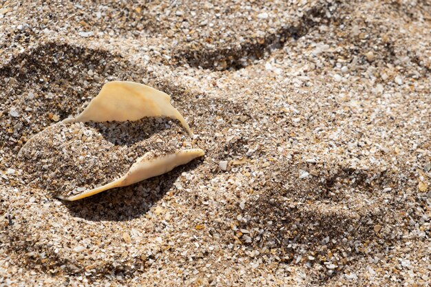 primer plano, de, arena, en la playa