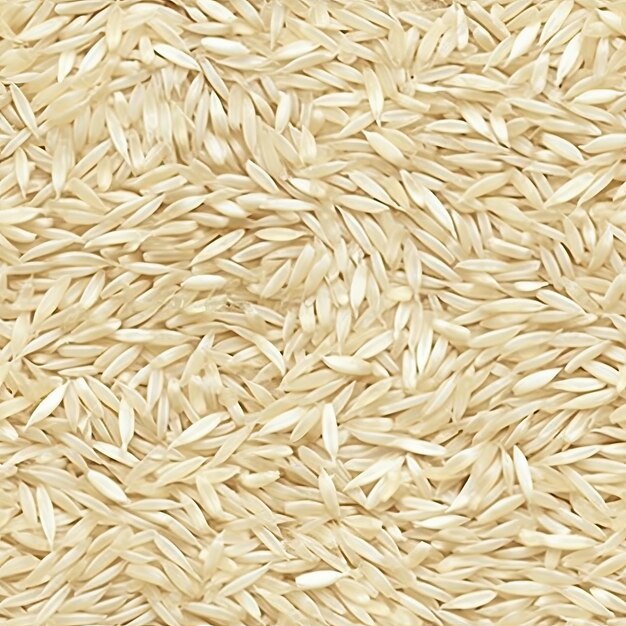 Foto un primer plano de arroz con un fondo blanco