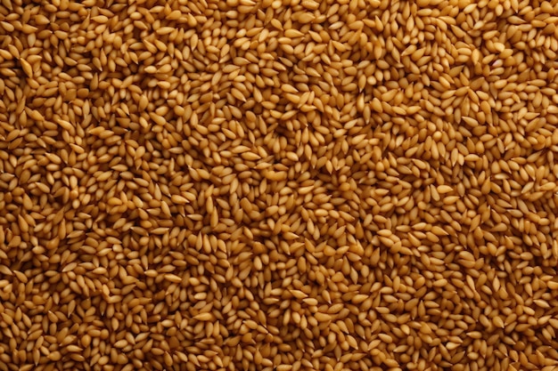 un primer plano de arroz marrón