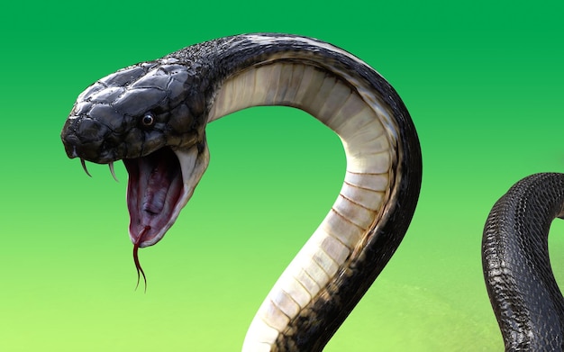 Primer plano del ataque de la serpiente cobra rey en 3D aislado en fondo verde