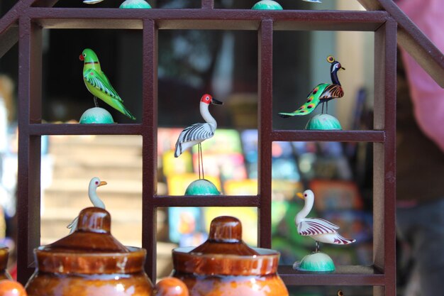 Foto primer plano de aves enjauladas en una jaula