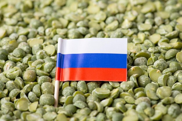 Primer plano de la bandera de rusia en guisante verde Concepto de cultivo de guisante en rusia