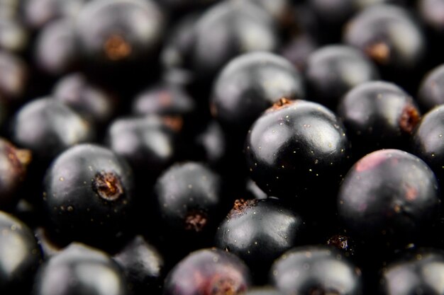 Primer plano de bayas frescas de grosella negra