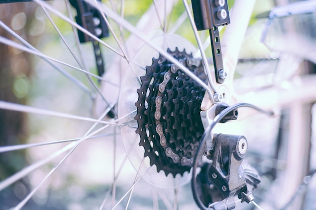 Primer plano de una bicicleta en la canasta