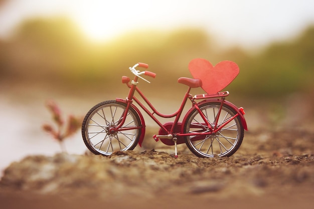 Primer plano de una bicicleta con flores rosas