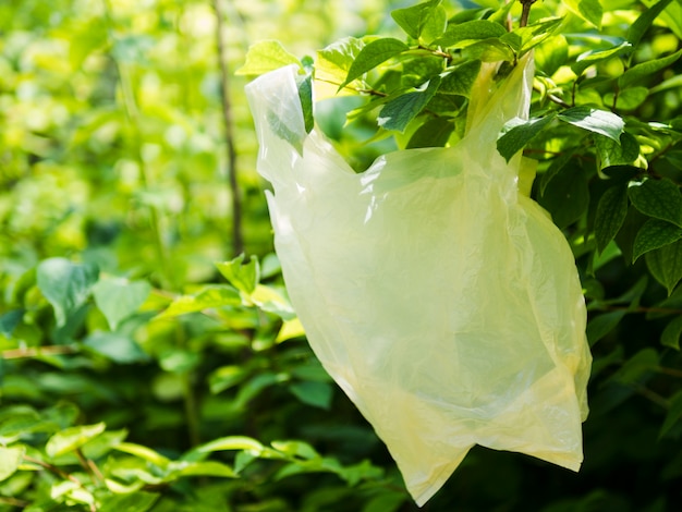 Foto primer plano de la bolsa de plástico que cuelga en la rama de un árbol verde