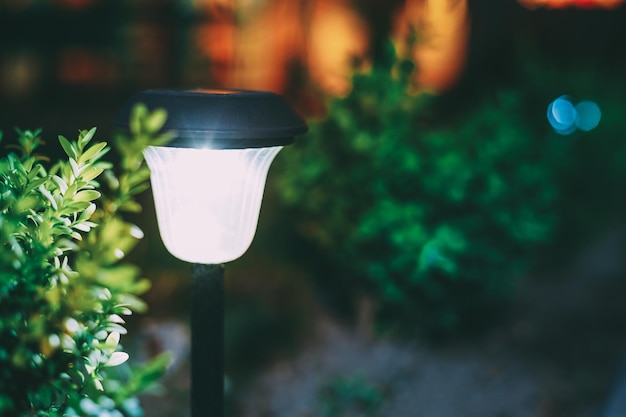 Primer plano de una bombilla iluminada en el patio