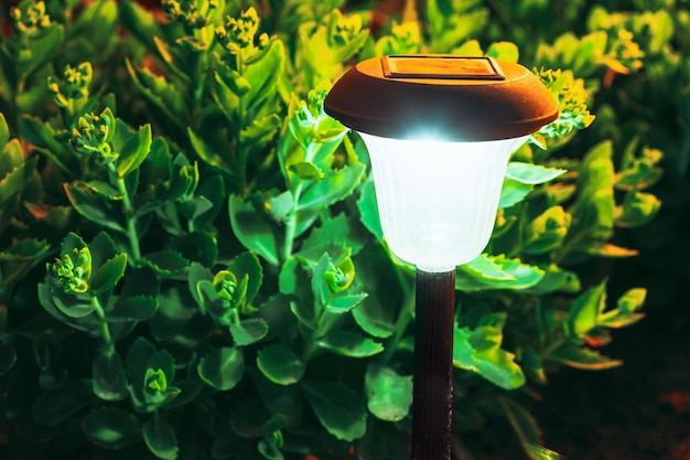 Primer plano de una bombilla iluminada