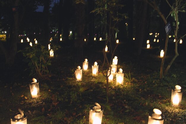 Foto primer plano de bombillas iluminadas en la oscuridad