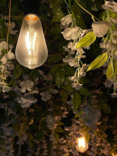 Primer plano de bombillas vintage en el techo del café decorado con plantas perennes