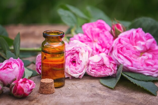 Primer plano de la botella de aceite esencial de rosa con hojas caídas sobre fondo de madera. Enfoque selectivo