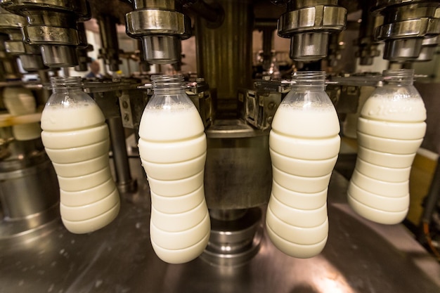 Primer plano de las botellas en el estante
