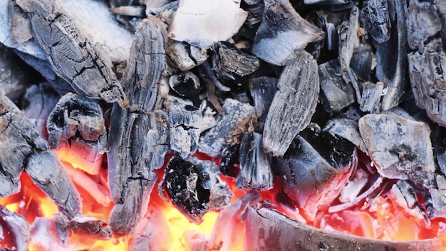 Primer plano de brasas ardientes concepto video de brasas para asar en la naturaleza gris y rojo caliente