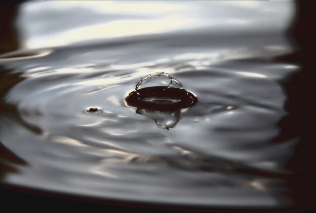 Foto primer plano de una burbuja en el agua del lago