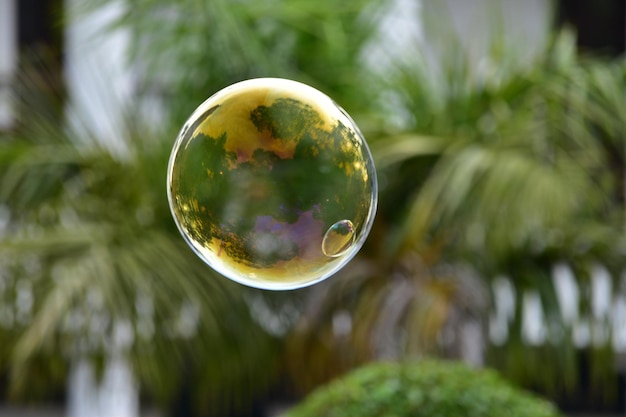 Foto primer plano de burbujas contra los árboles