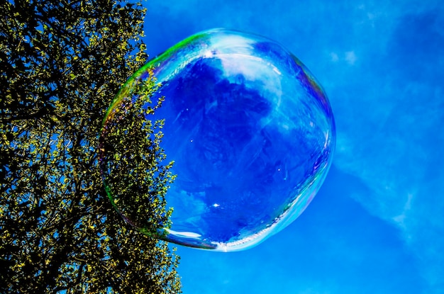 Foto primer plano de burbujas contra el cielo azul