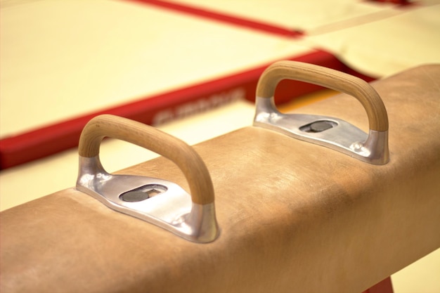 Foto un primer plano de un caballo de pommel.