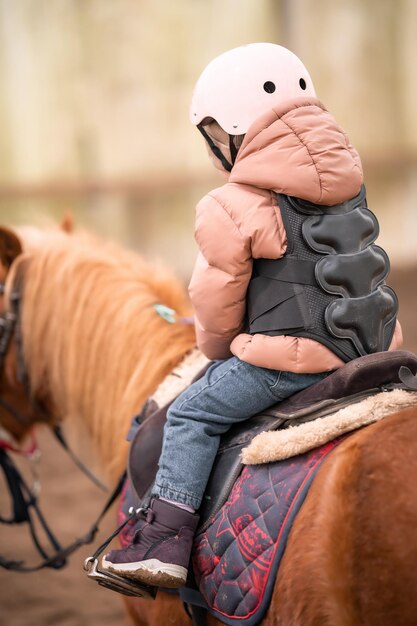 Foto primer plano del caballo