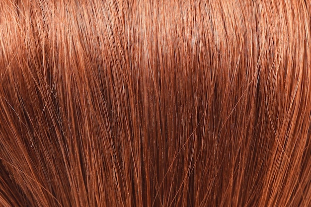 Foto un primer plano de una cabeza de cabello castaño con la palabra cabello
