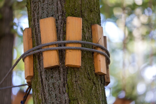 Primer plano del cable de la cuerda gruesa y firme anudada atada al fuerte tronco de un árbol grande