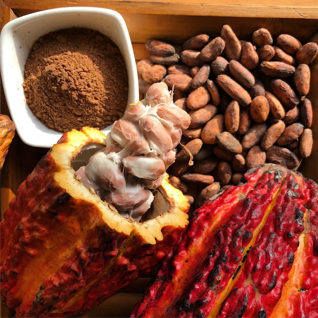 Primer plano de cacao con semillas y café molido