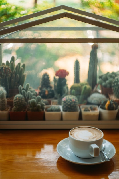 Foto primer plano de cactus y café servido en la mesa