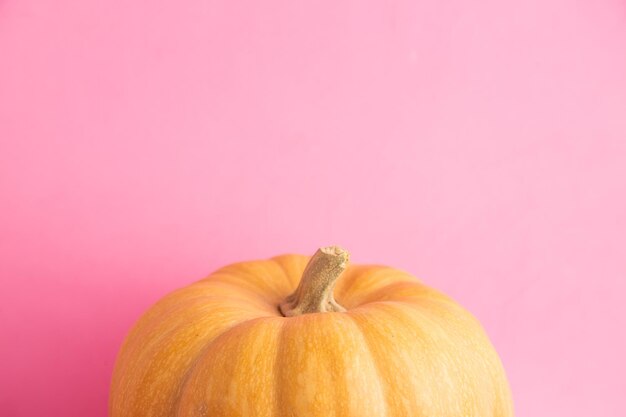 Foto primer plano de una calabaza contra un fondo rosado