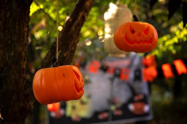 Foto primer plano de una calabaza contra los naranjos