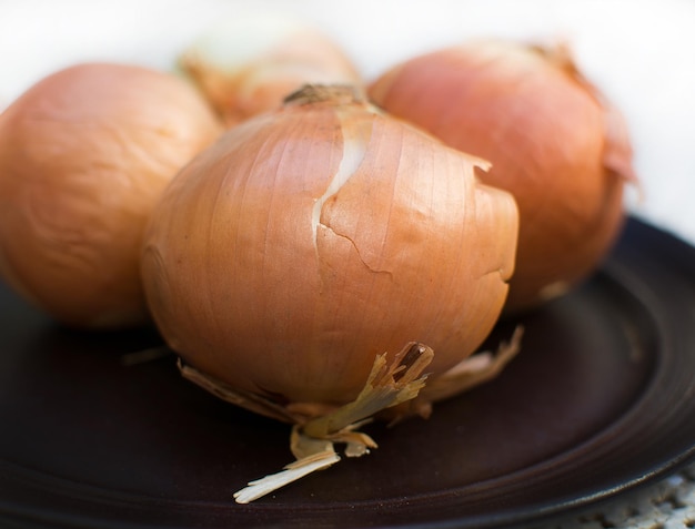 Foto primer plano de una calabaza en la mesa