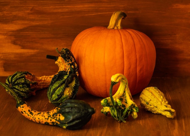 Foto primer plano de una calabaza en la mesa