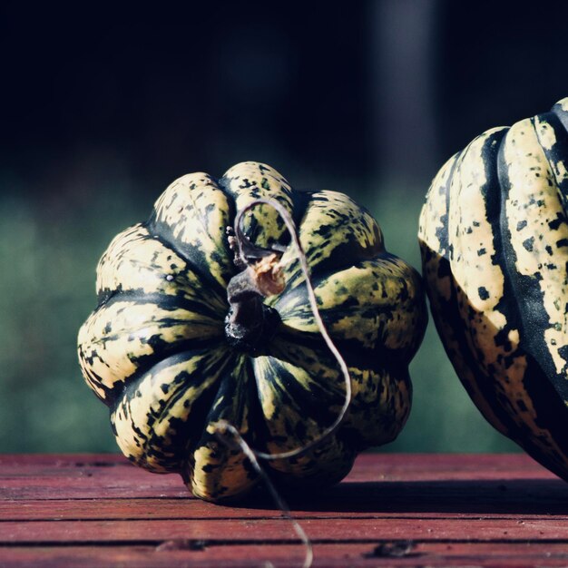 Foto primer plano de una calabaza en la mesa