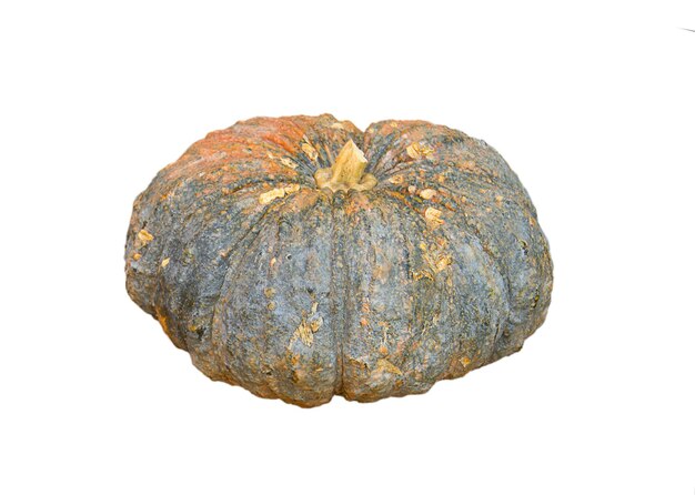 Primer plano de una calabaza podrida sobre un fondo blanco