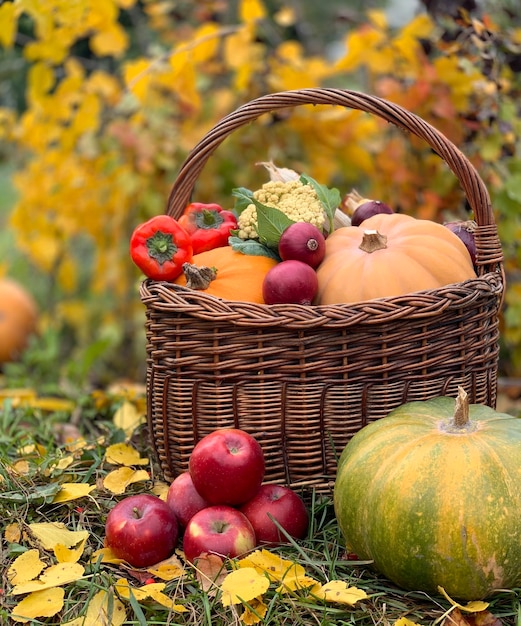 primer plano de calabaza sobre un fondo de otoño. banner para halloween y día de acción de gracias. verdura de otoño