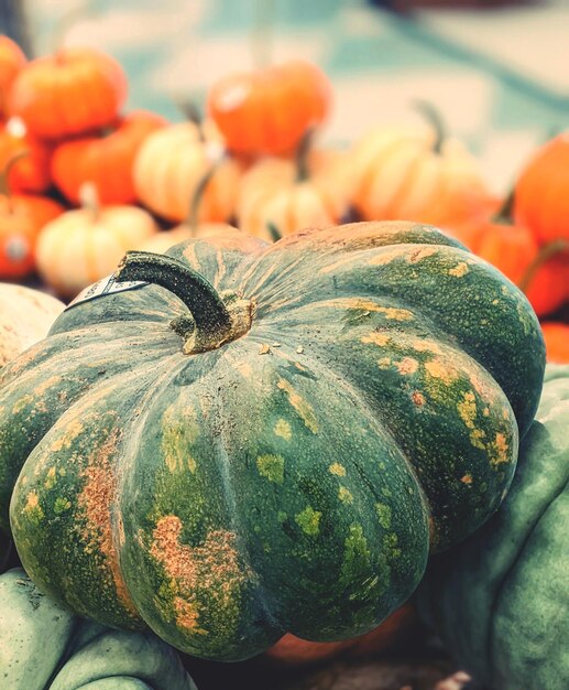 Foto primer plano de una calabaza