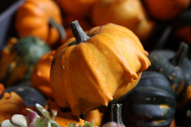 Primer plano de una calabaza