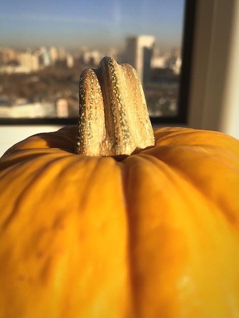 Foto primer plano de una calabaza