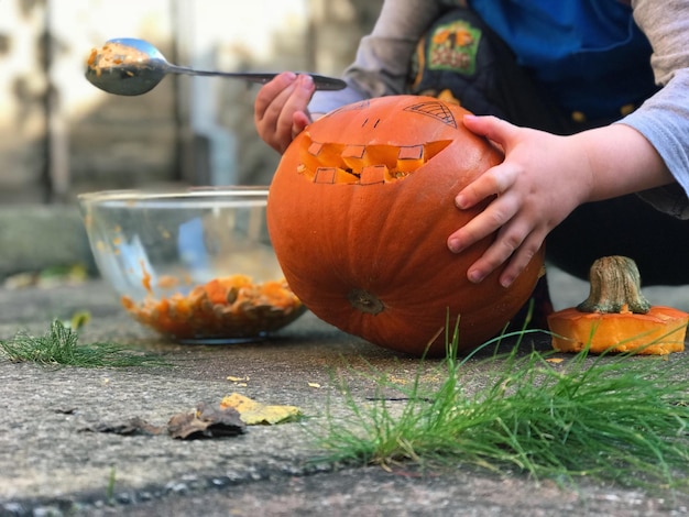 Primer plano de calabazas y calabazas durante el otoño