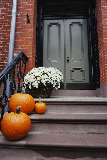 Primer plano de calabazas en las escaleras