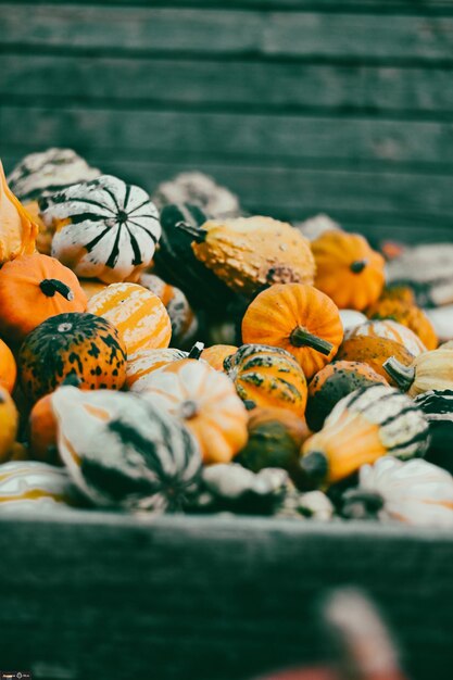 Foto primer plano de calabazas en la mesa