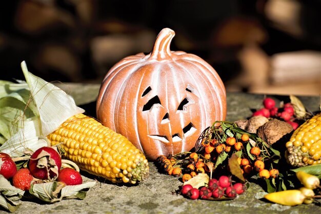 Foto primer plano de las calabazas