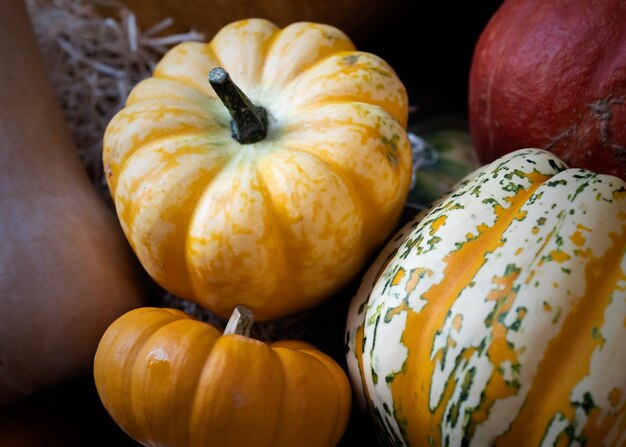 Foto primer plano de las calabazas