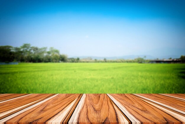 Foto primer plano de un campo agrícola contra el cielo